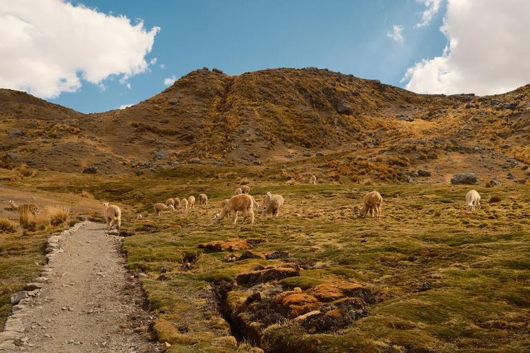 From Cusco: Ausangate 7 Lakes Horseback Riding In Group
