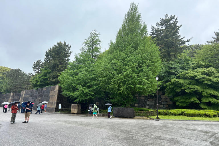 Tokyo: Imperial Palace, Edo Castle and Historical Tour