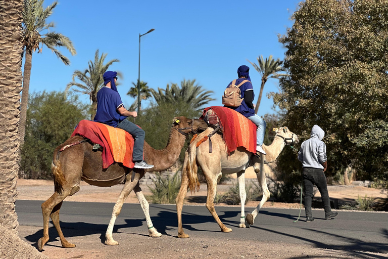 Camel Ride Adventure Through Marrakech’s Desert Villages