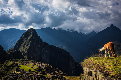 Route du Sud 12 jours : Lima-Ica-Arequipa-Puno-Cusco