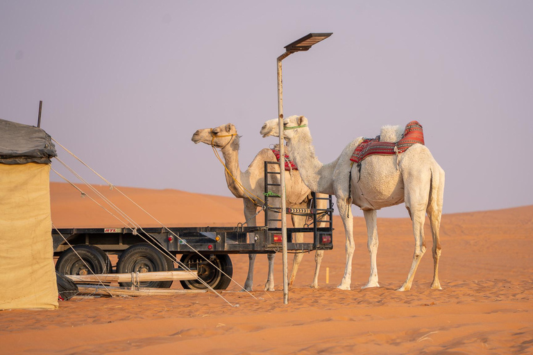 Falconry & Camel Experience in Riyadh