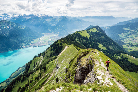 Excursion privée d&#039;une journée au départ de Lucerne vers Interlaken, Berne et l&#039;Emmental