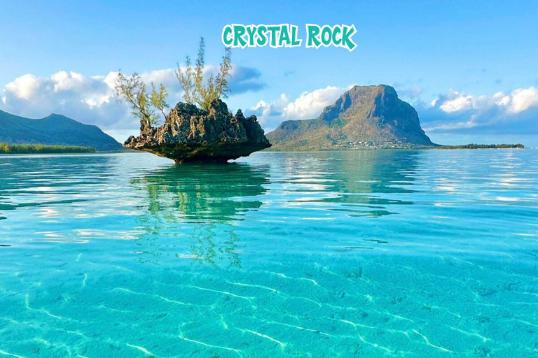 Mauricio: Isla Benitier - Nadar con delfines - Lancha rápida y barbacoa