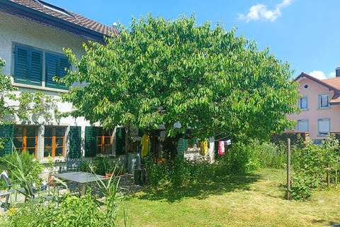 Die Schweiz: Essenserlebnis im Haus eines EinheimischenDining mit klassischem Konzert