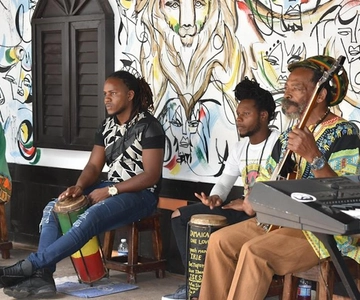 Montego Bay: Bob Marley's Nine Mile ingresso e tour guiado