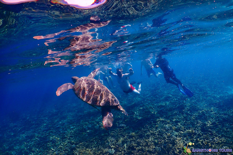 Koh Tao: Excursão de um dia com mergulho com snorkel nas ilhas e almoçoKoh Tao: Ilhas Snorkeling Destaques Day Tour &amp; Almoço