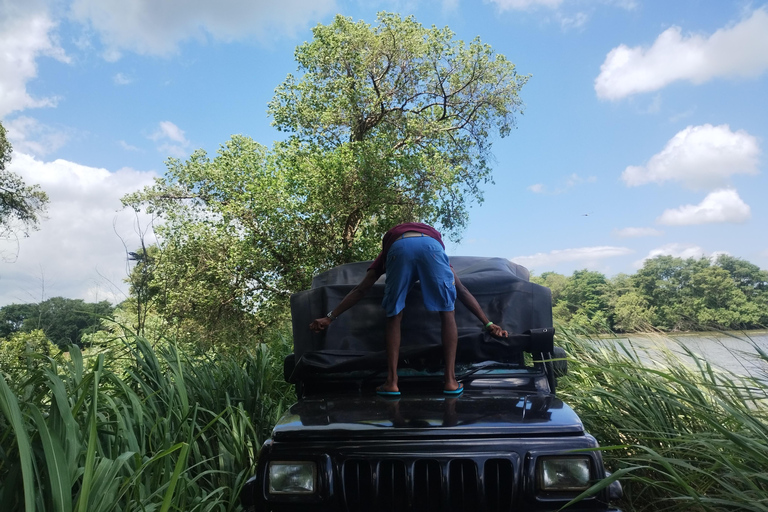 Kandy; Excursión de un día a Sigiriya y Safari en Elefante