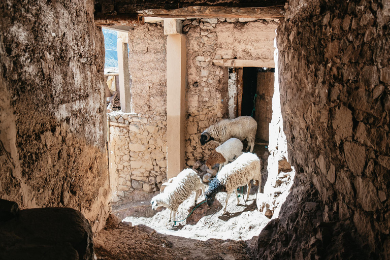 Marrakech : randonnée dans l'Atlas et nuit au village