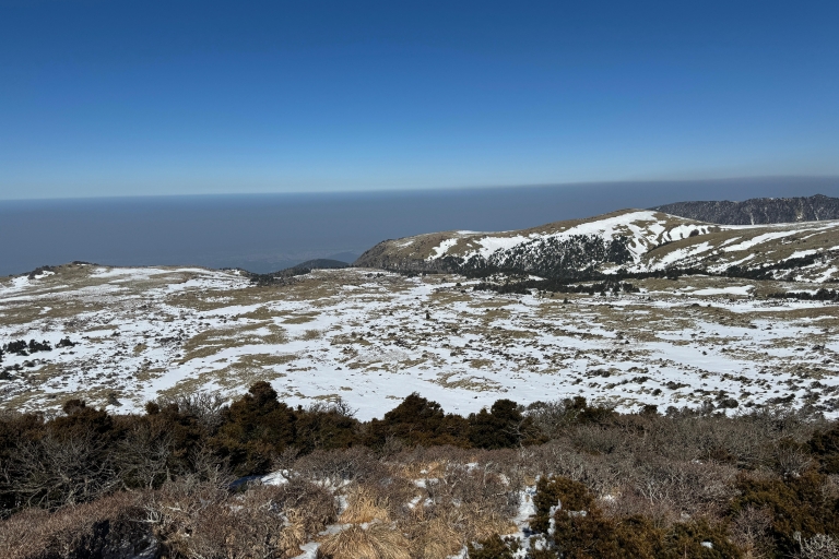 Haz senderismo por Hallasan, en la isla de Jeju, la montaña más alta de Corea del SurJeju Hallasan; Excursión a pie Flor de Nieve con almuerzo
