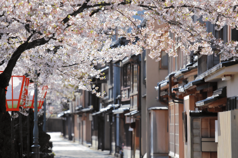 Private & Unique Kanazawa Cherry Blossom "Sakura" Experience