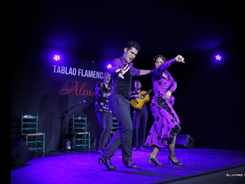 Palma : Spectacle de flamenco au Tablao Flamenco Alma avec boisson