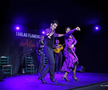 Palma: Flamenco Show at Tablao Flamenco Alma with Drink