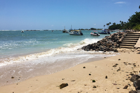 Excursion d&#039;une journée sur l&#039;île de Morro de São PauloParler espagnol