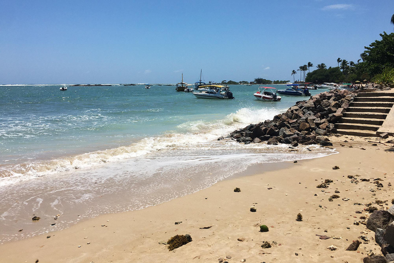 Excursion d&#039;une journée sur l&#039;île de Morro de São PauloParler espagnol