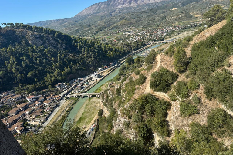From Vlora: Berat Exploring Tour, Ardenica Monas. & Zvernec