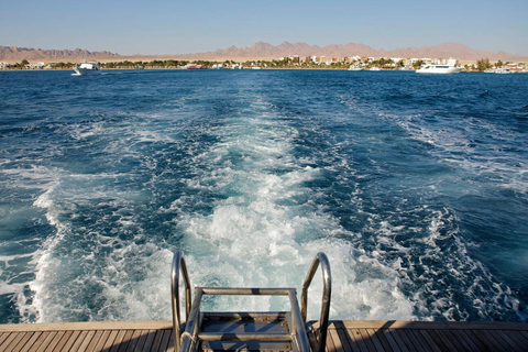 Hurghada: Excursión en barco a la Casa de los Delfines con snorkel