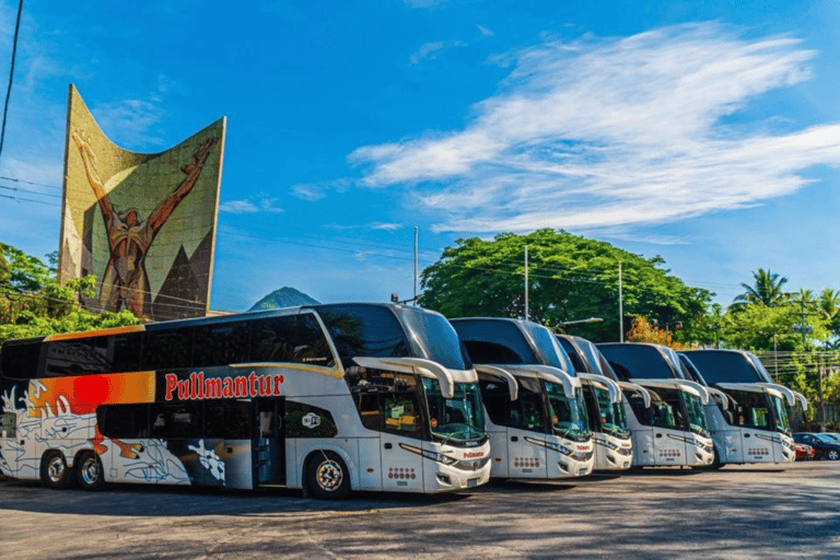 San Salvadorz: Convenient bus transfer from/to GuatemalaSingle from Guatemala to San Salvador