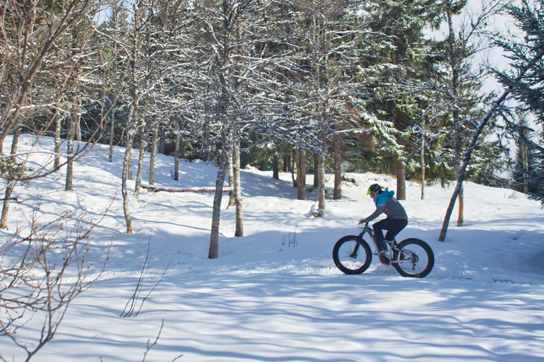 Tromsø: Electric fatbike trip on winter paths