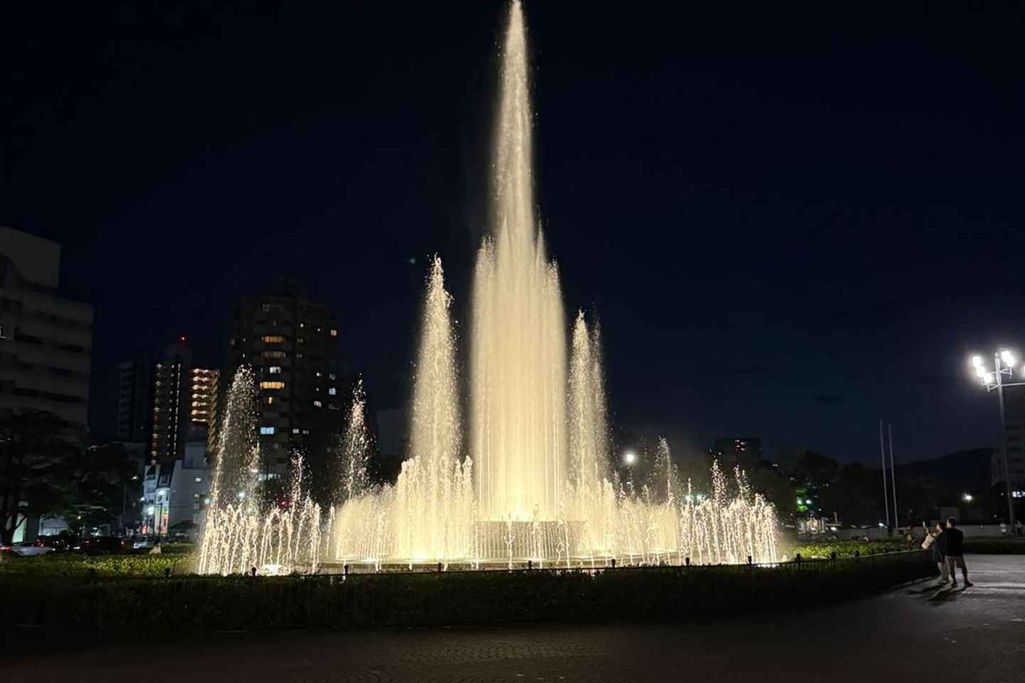 Hiroshima: From Tragedy to Peace Memorial Park Tour.