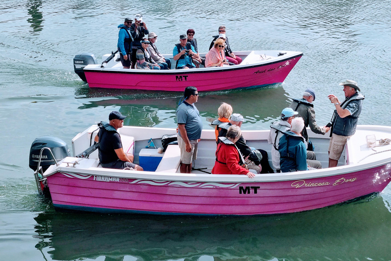 Lagos: Excursión en barco a las Grutas de Ponta da Piedade/cuevasExcursión en barco a las grutas de Lagos no privada