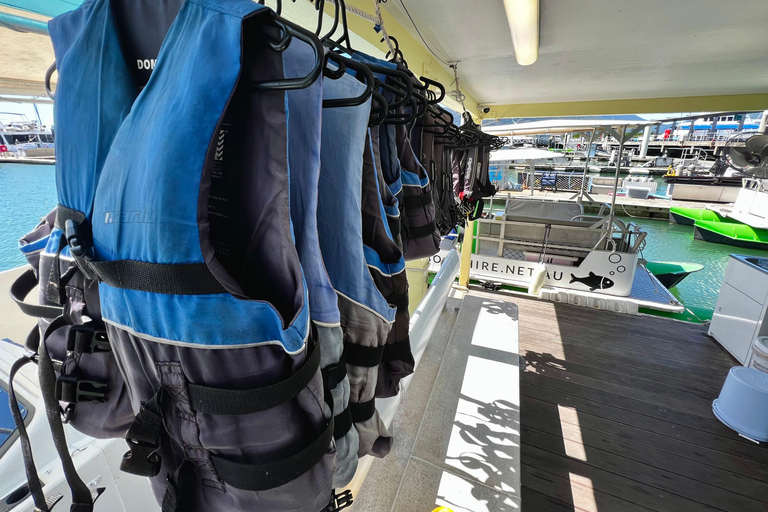 Cairns: Dinghie (tinny) Boat Hire Full Day Session