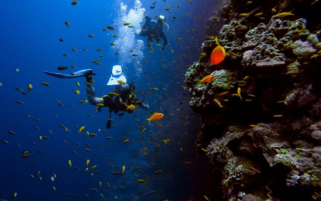 Fethiye: Scuba Diving Tour mit Tauchlehrer und Mittagessen