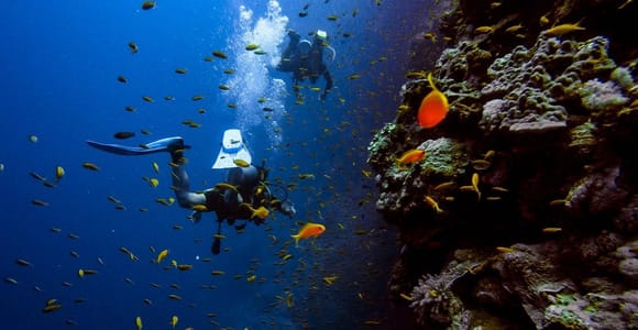 Fethiye: Scuba Diving Tour with Instructor and Lunch