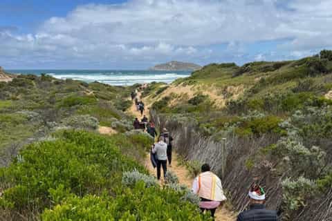 Melbourne: Private Wilson Promontory National Park Day Tours - Image 3