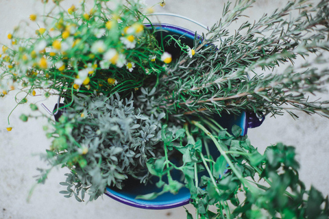 Munich: Healing Power on the Banks of the Isar - Rediscovering the Knowledge of Wild Herbs