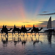 Darwin: Sunset Camel Ride along Mindil Beach