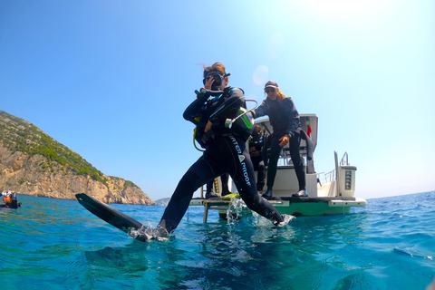 Zakynthos: Scuba Diving Experience with Underwater Photos Double dive discover scuba diving course