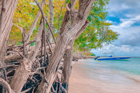 Cartagena: Desfruta de uma excursão de autocarro/barco às 5 Ilhas do Rosário + snorkeling