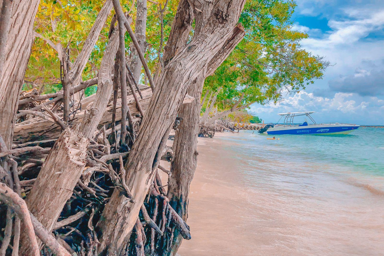 Cartagena: Desfruta de uma excursão de autocarro/barco às 5 Ilhas do Rosário + snorkeling