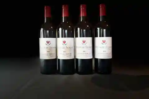 De vertical op Château Cruzeau