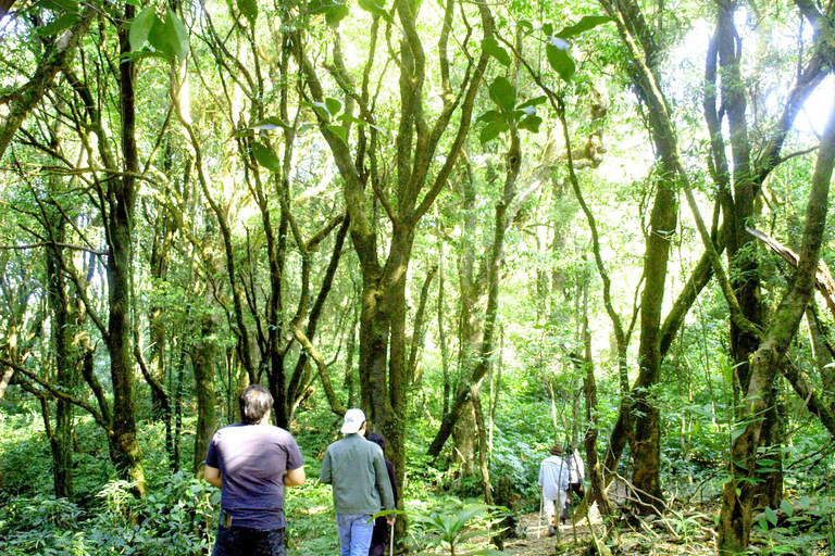 Chiang Mai: sentiero naturalistico Pha Dok Siew e gita a Doi Inthanon