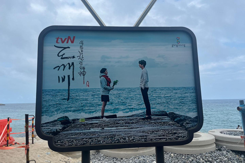 Seoul: Gangneung from K-Pop Band Bus Stop to Anmok Beach Option 1, meet at Dongdaemun