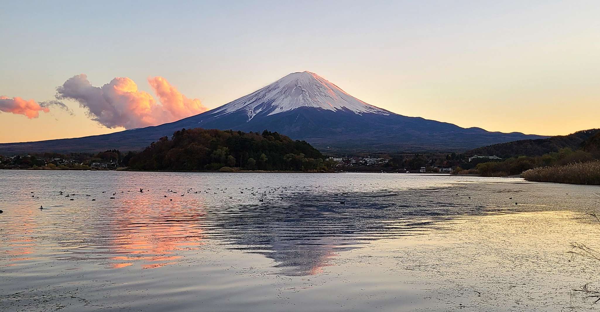 Mount Fuji & Kawaguchiko, Private Guided Customizable Tour - Hizvo