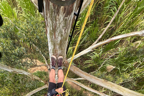 ميديلين: جولة نصف يوم للنزول إلى الشلالات الرائعة.