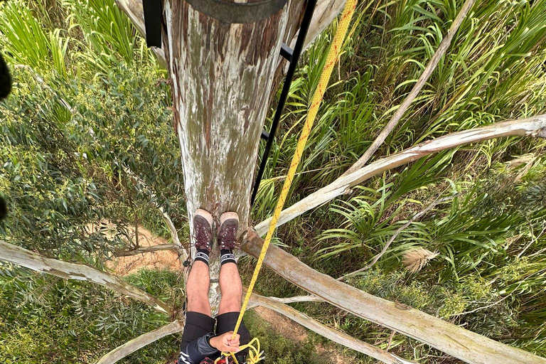 ميديلين: جولة نصف يوم للنزول إلى الشلالات الرائعة.