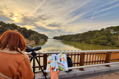 Albufera de Valencia: Mediterranean Forest and Sailing on the Albujaira