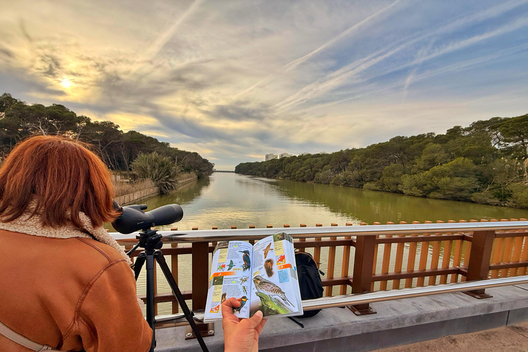 Albufera de Valencia: Mediterranean Forest and Sailing on the Albujaira