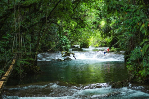 Port Vila: Blue Lagoon, Eden on the River & Turtle Tour