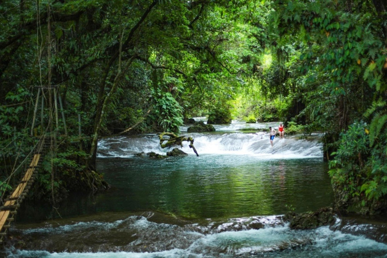Port Vila: Blue Lagoon, Eden on the River & Turtle Tour