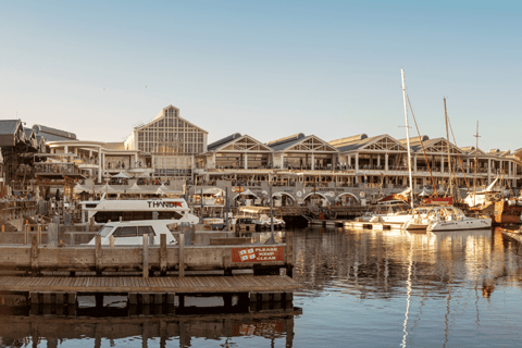 5-daagse rondreis door Zuid-Afrika: Kaapstad, safari en Garden Route5-daagse rondreis door Zuid-Afrika: Kaapstad, safari en de Tuinroute