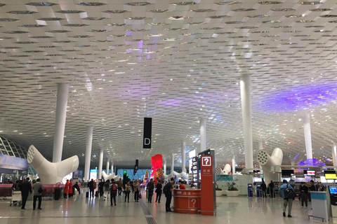 Shenzhen Private Tour Whatever You Want High-tech Shenzhen Tour