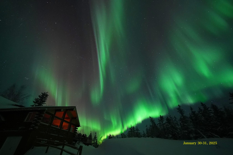 Fairbanks: Aurora Husky Lodge Aurora Viewing TourFairbanks: Aurora Husky Lodge Tour para ver la aurora boreal
