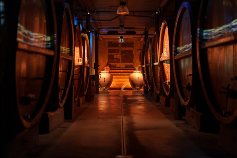 Tour immersivo della cantina, degustazione e cena a buffetTour in francese