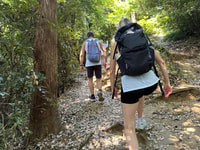 Kamakura Hidden Hike - Housity