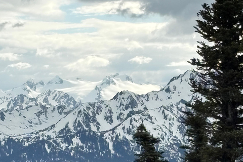 Tour Olympic National Park: Mountains, Lake, and Rainforest