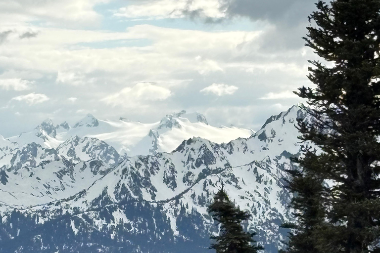 Tour Olympic National Park: Mountains, Lake, and Rainforest